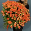 51 кустовая оранжевая роза Чарминг Бейб 50 см